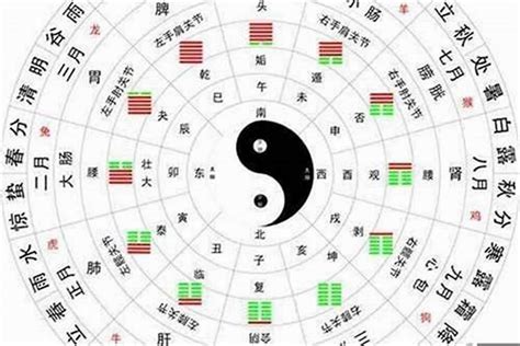 五行多木|八字木多代表什么 八字木多的人命好不好